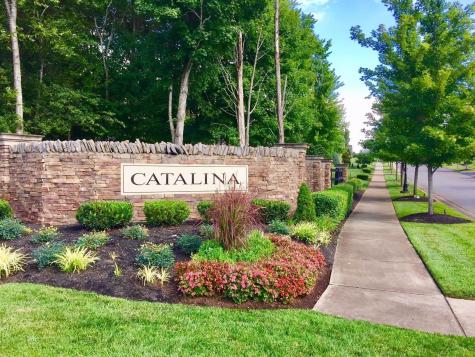 812 Alameda Avenue Lot #29 Nolensville TN 37135