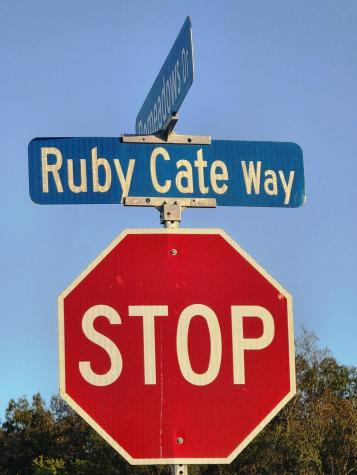 304 Ruby Cate Way Murfreesboro TN 37128
