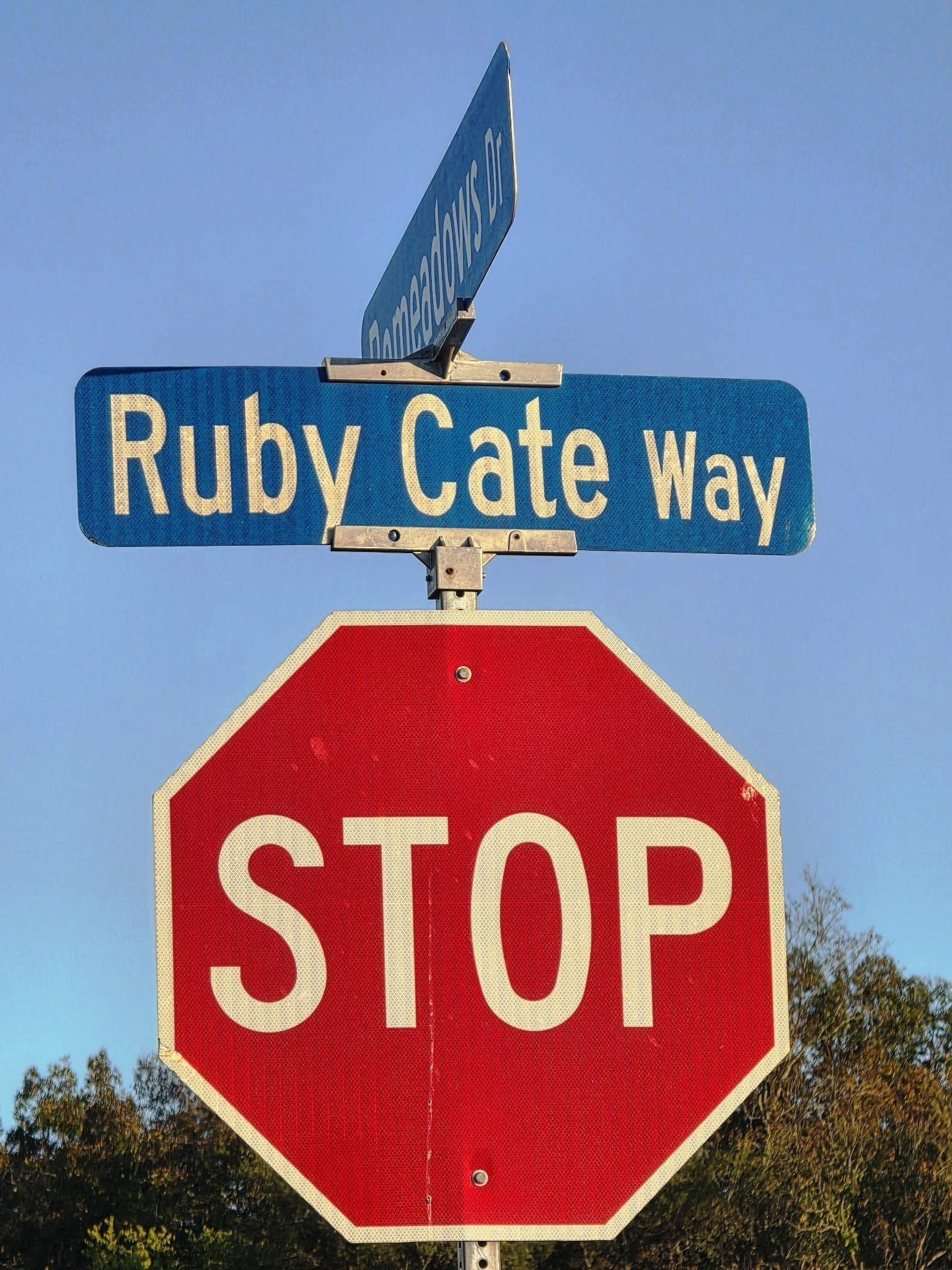304 Ruby Cate Way Murfreesboro TN 37128