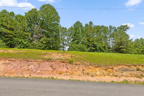 0 Preservation Drive South Pittsburg TN 37380