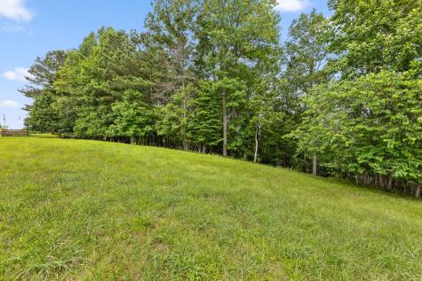 0 Preservation Drive South Pittsburg TN 37380