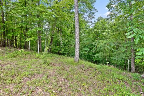 0 Preservation Drive South Pittsburg TN 37380