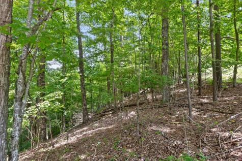 0 Preservation Drive South Pittsburg TN 37380