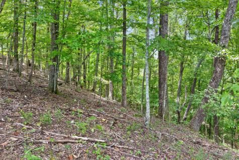0 Preservation Drive South Pittsburg TN 37380