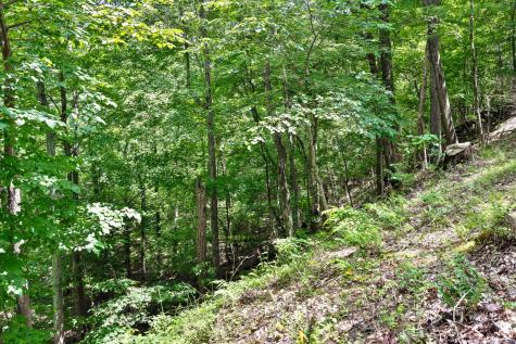 0 Preservation Drive South Pittsburg TN 37380