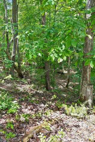 0 Preservation Drive South Pittsburg TN 37380