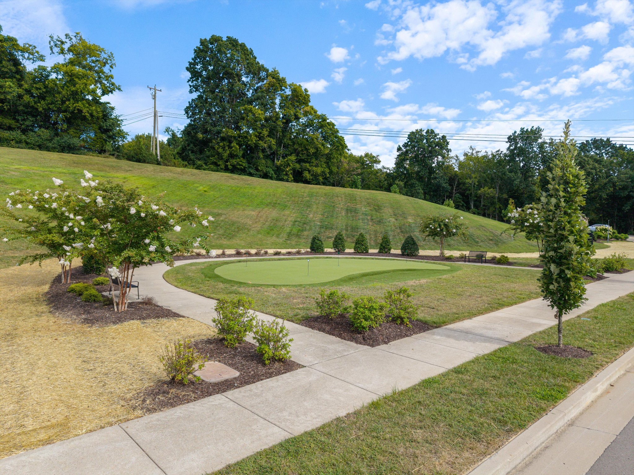 217 Trevor Drive Mount Juliet TN 37122