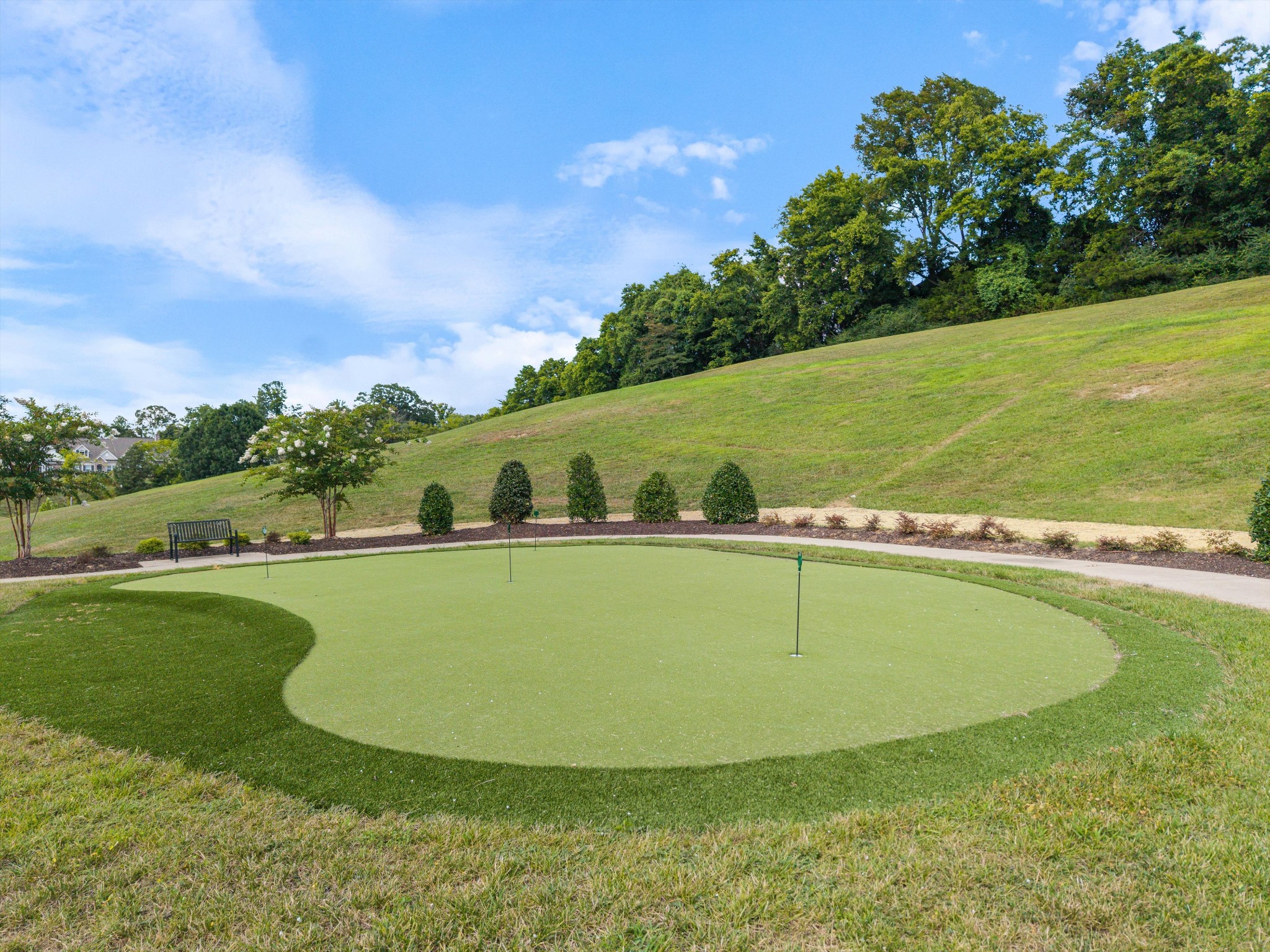 217 Trevor Drive Mount Juliet TN 37122