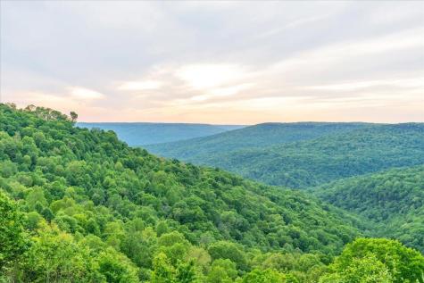 315 Morris Point Lane South Pittsburg TN 37380
