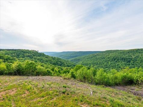 315 Morris Point Lane South Pittsburg TN 37380