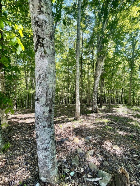 460 Mate Allen Road Gainesboro TN 38562