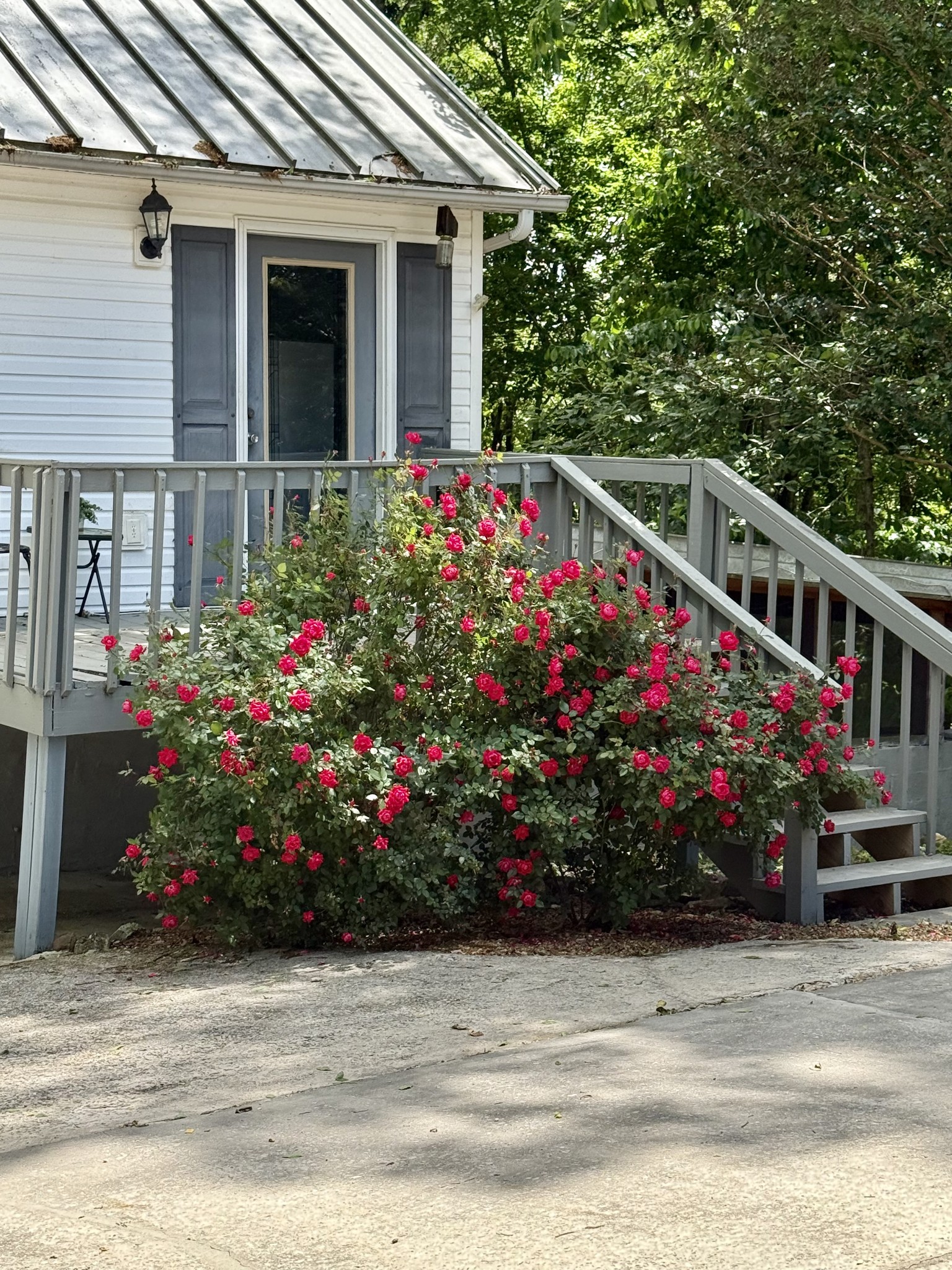 460 Mate Allen Road Gainesboro TN 38562