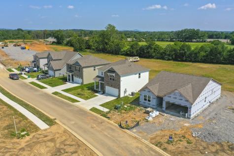 317 Ellis Lane Lebanon TN 37087