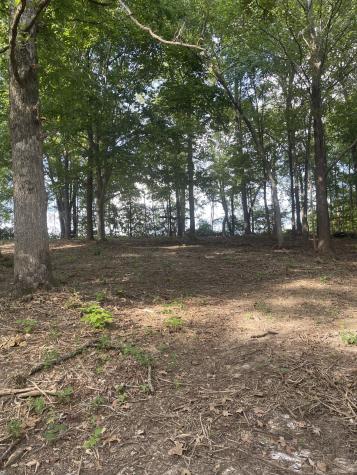 0 Lake Hayes Estates Road Trenton TN 38382