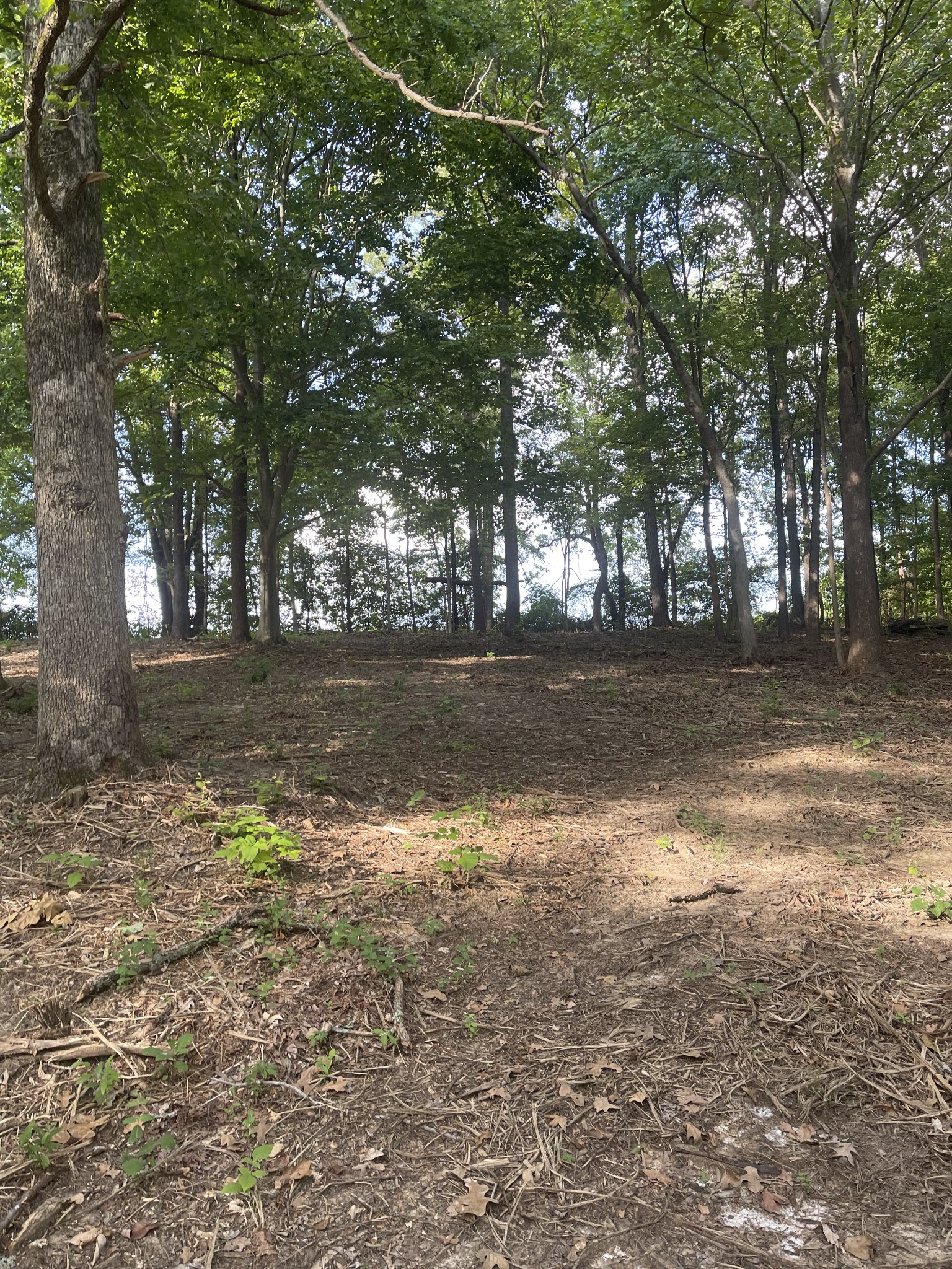 0 Lake Hayes Estates Road Trenton TN 38382