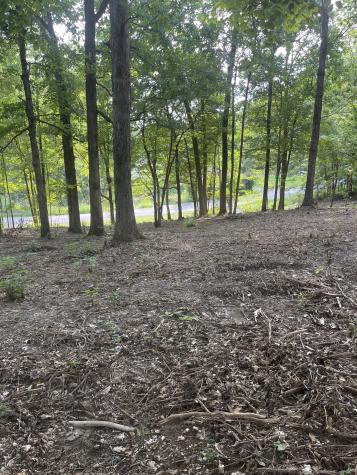 0 Lake Hayes Estates Road Trenton TN 38382