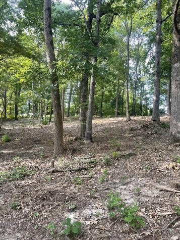 0 Lake Hayes Estates Road Trenton TN 38382
