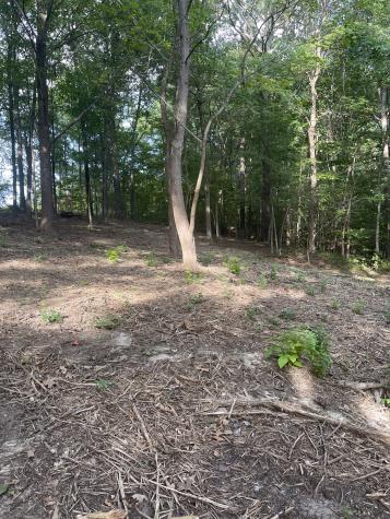 0 Lake Hayes Estates Road Trenton TN 38382