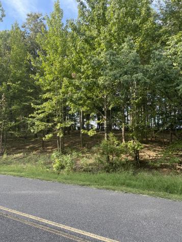 0 Lake Hayes Estates Road Trenton TN 38382
