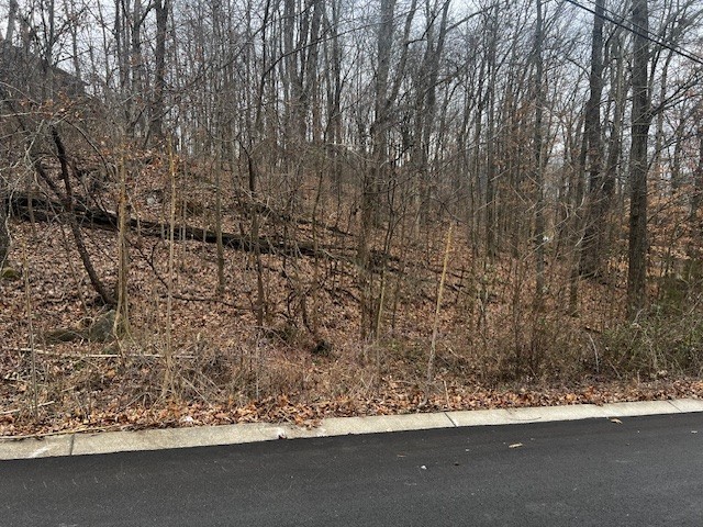 106 High Ridge Trail Goodlettsville TN 37072