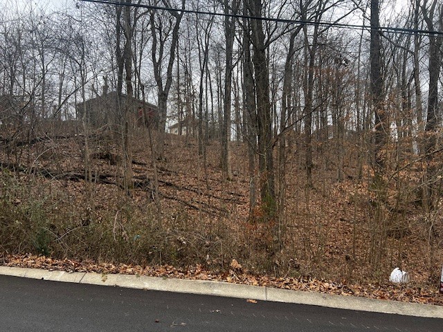 106 High Ridge Trail Goodlettsville TN 37072