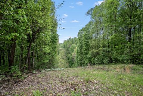 1975 Sugar Tree Knob Road Liberty TN 37095