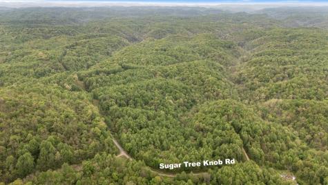 1975 Sugar Tree Knob Road Liberty TN 37095