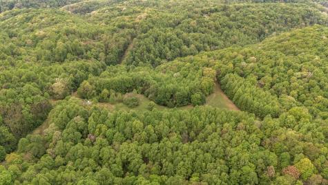 1975 Sugar Tree Knob Road Liberty TN 37095
