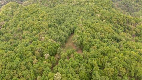 1975 Sugar Tree Knob Road Liberty TN 37095