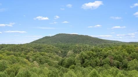 1975 Sugar Tree Knob Road Liberty TN 37095