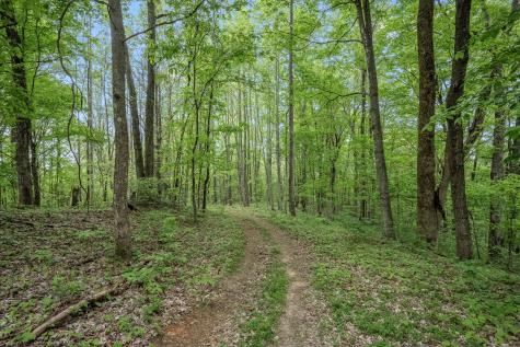 1975 Sugar Tree Knob Road Liberty TN 37095