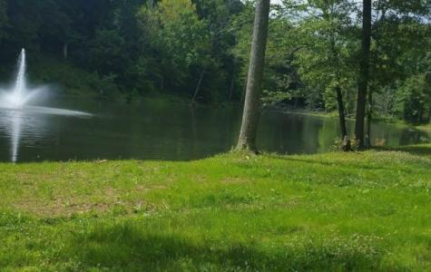65 Deer Grass Lane Hurricane Mills TN 37078