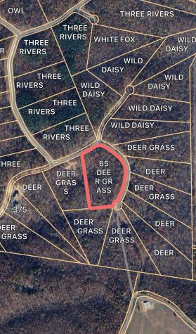 65 Deer Grass Lane Hurricane Mills TN 37078