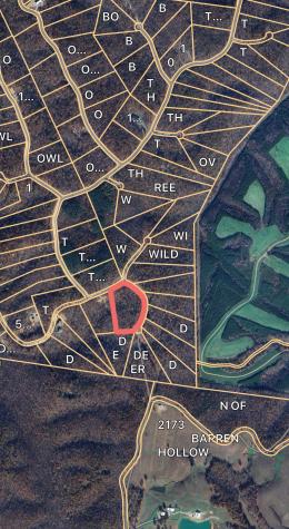 65 Deer Grass Lane Hurricane Mills TN 37078