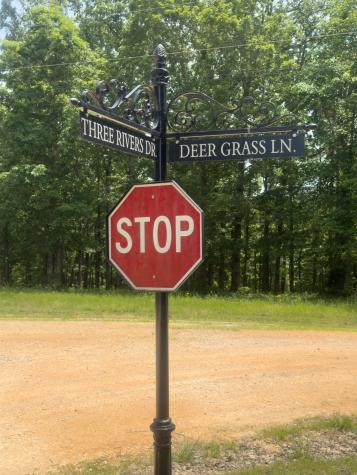 65 Deer Grass Lane Hurricane Mills TN 37078