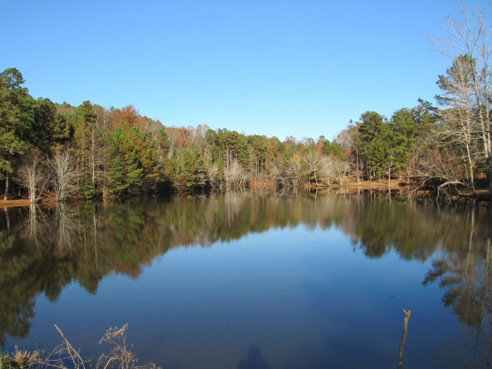2273 Fairview Boulevard Fairview TN 37062