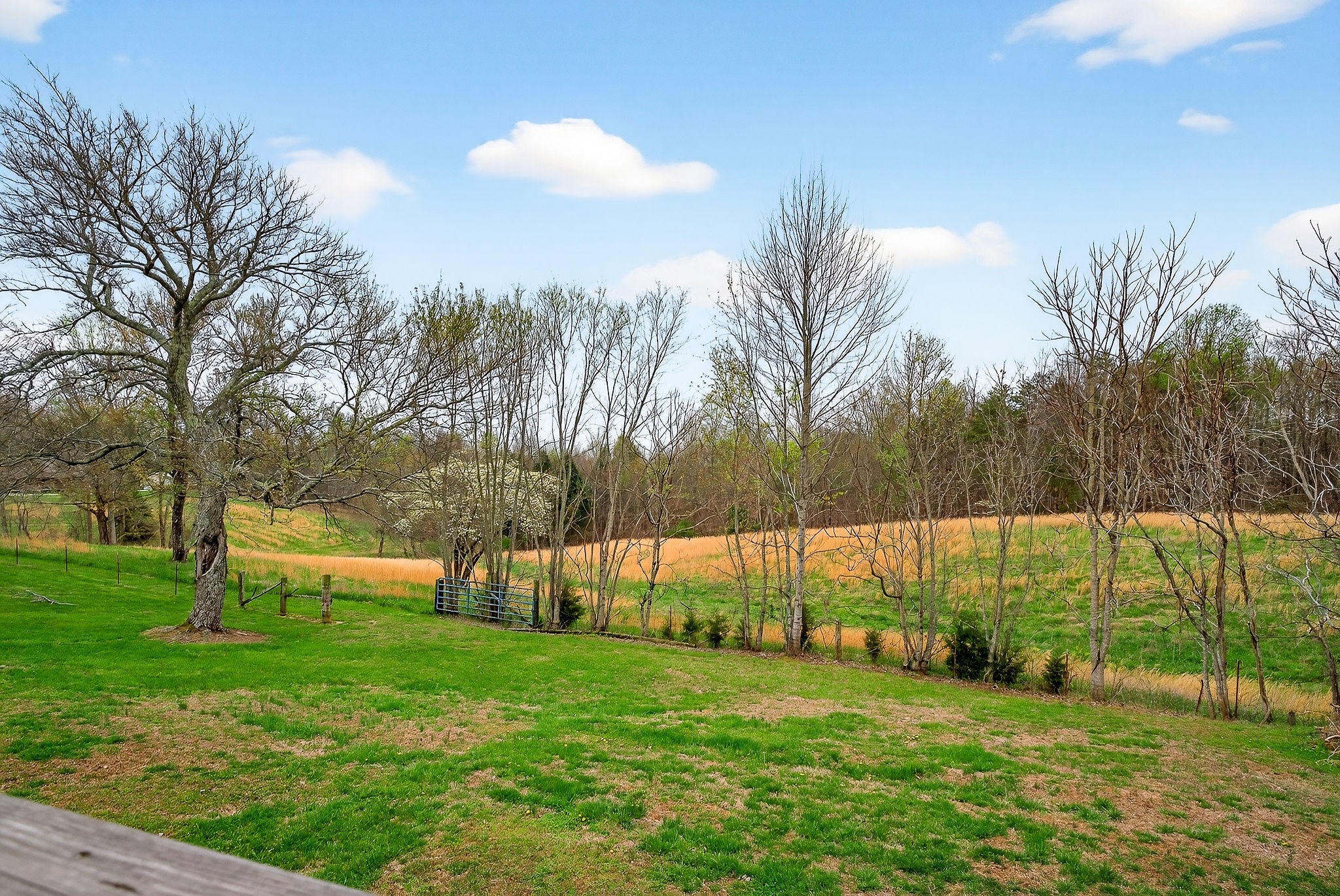 131 Poplar Springs Road Cookeville TN 38506