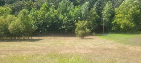 5641 New Highway 7 Santa Fe TN 38482
