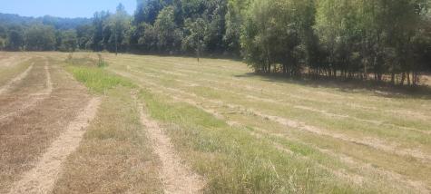 5641 New Highway 7 Santa Fe TN 38482