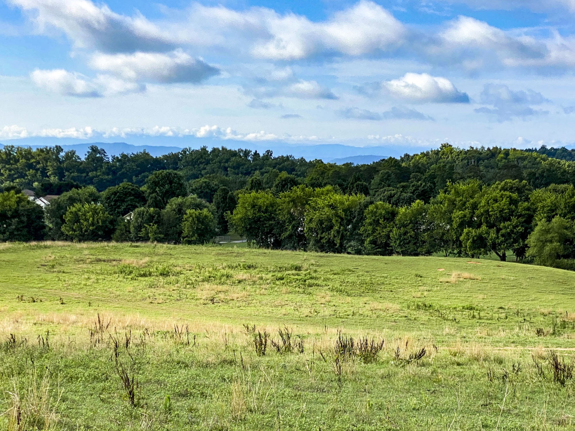 0 Highway 139 Dandridge TN 37725