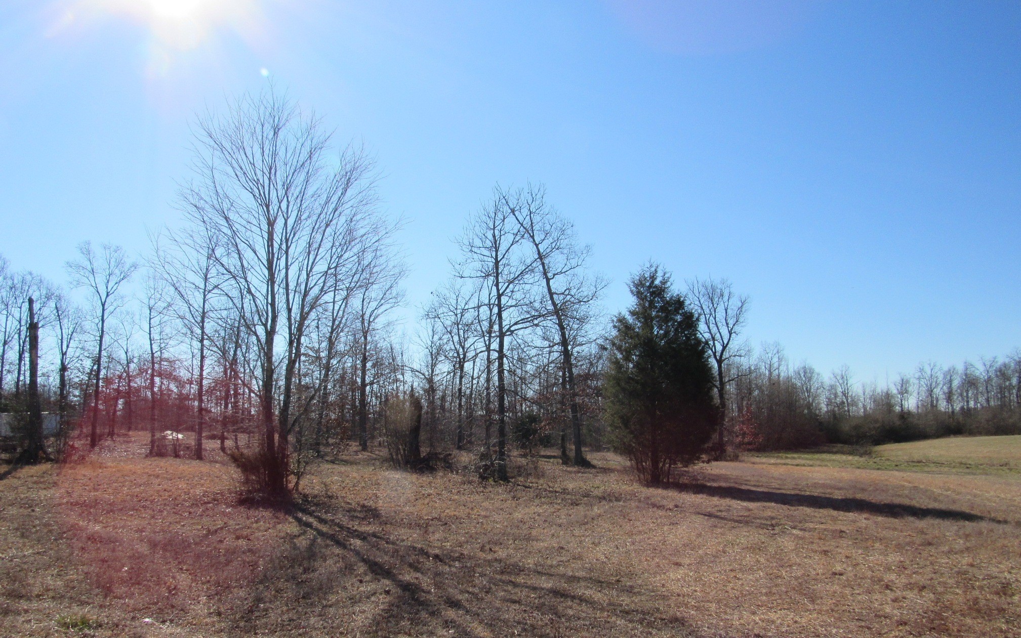 2385 Unionville Deason Road Bell Buckle TN 37020