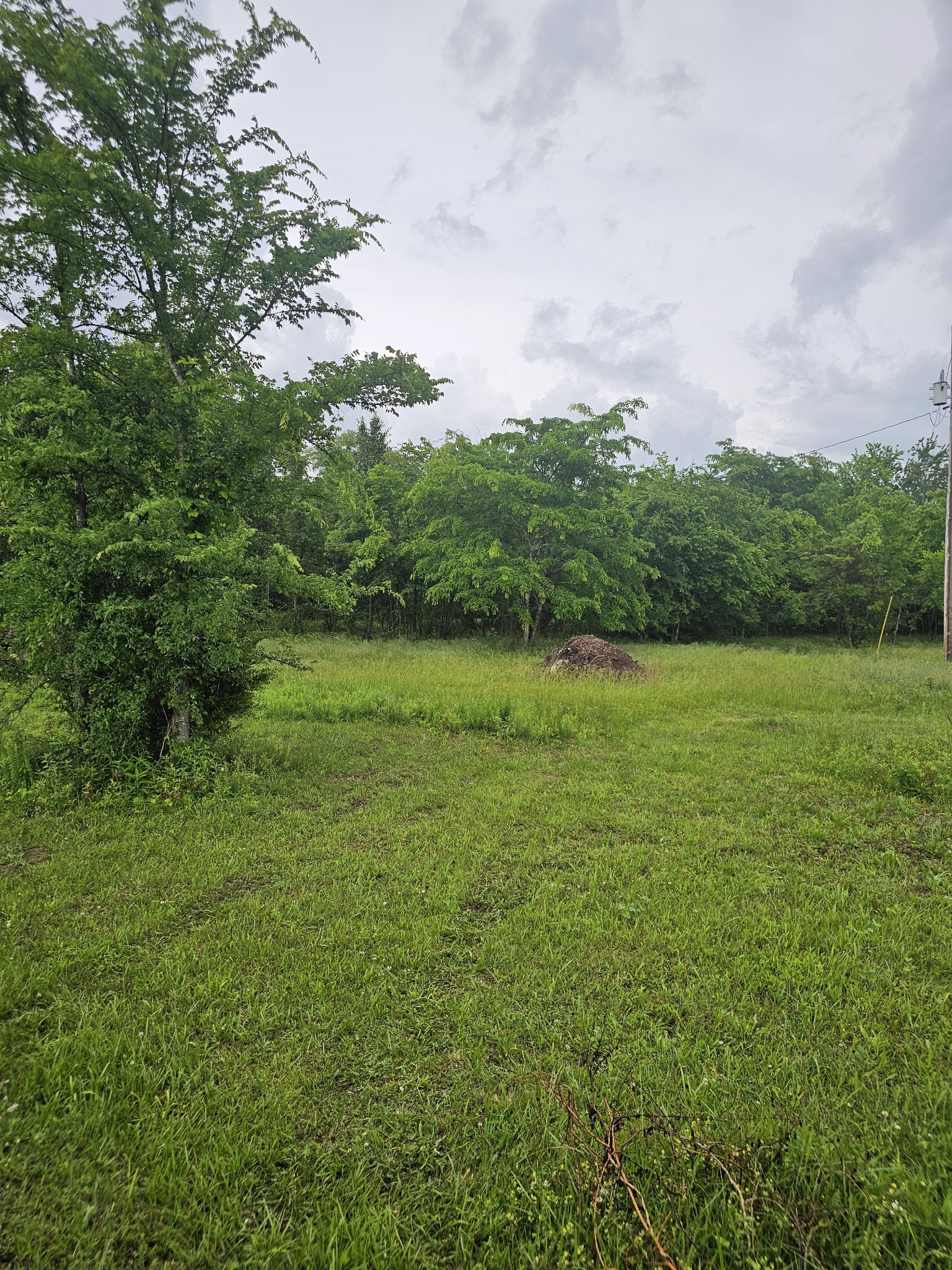 2385 Unionville Deason Road Bell Buckle TN 37020