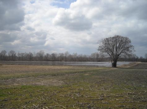0 Lower Big Sandy Road Big Sandy TN 38221