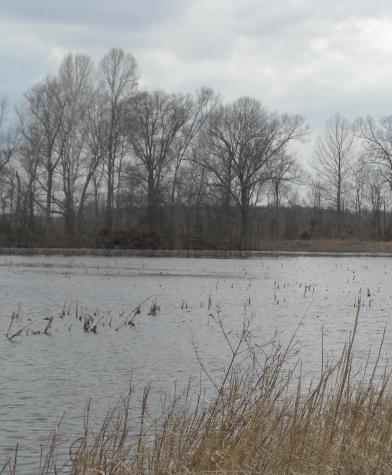 0 Lower Big Sandy Road Big Sandy TN 38221