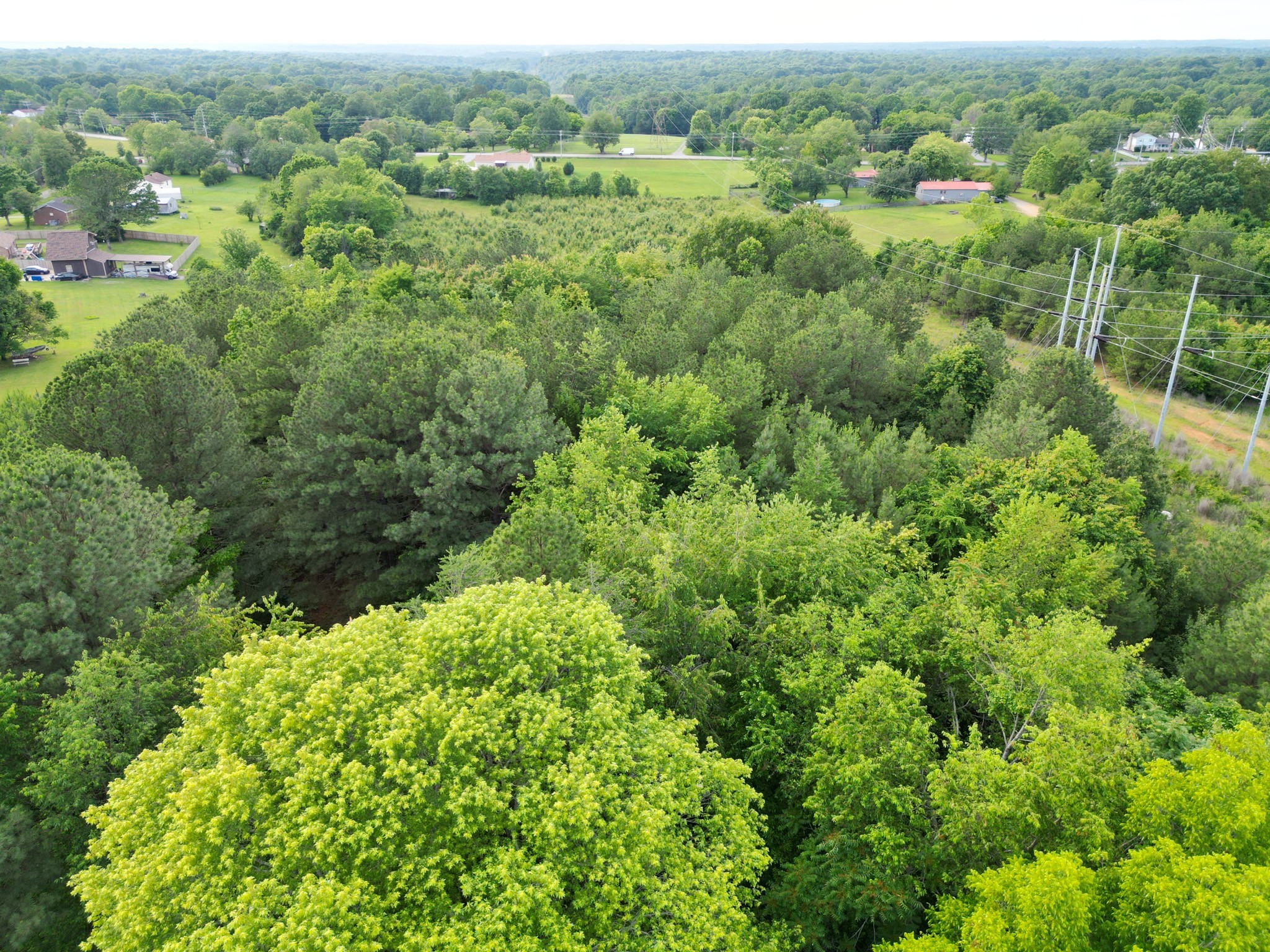 0 Raybon Binkley Ashland City TN 37015