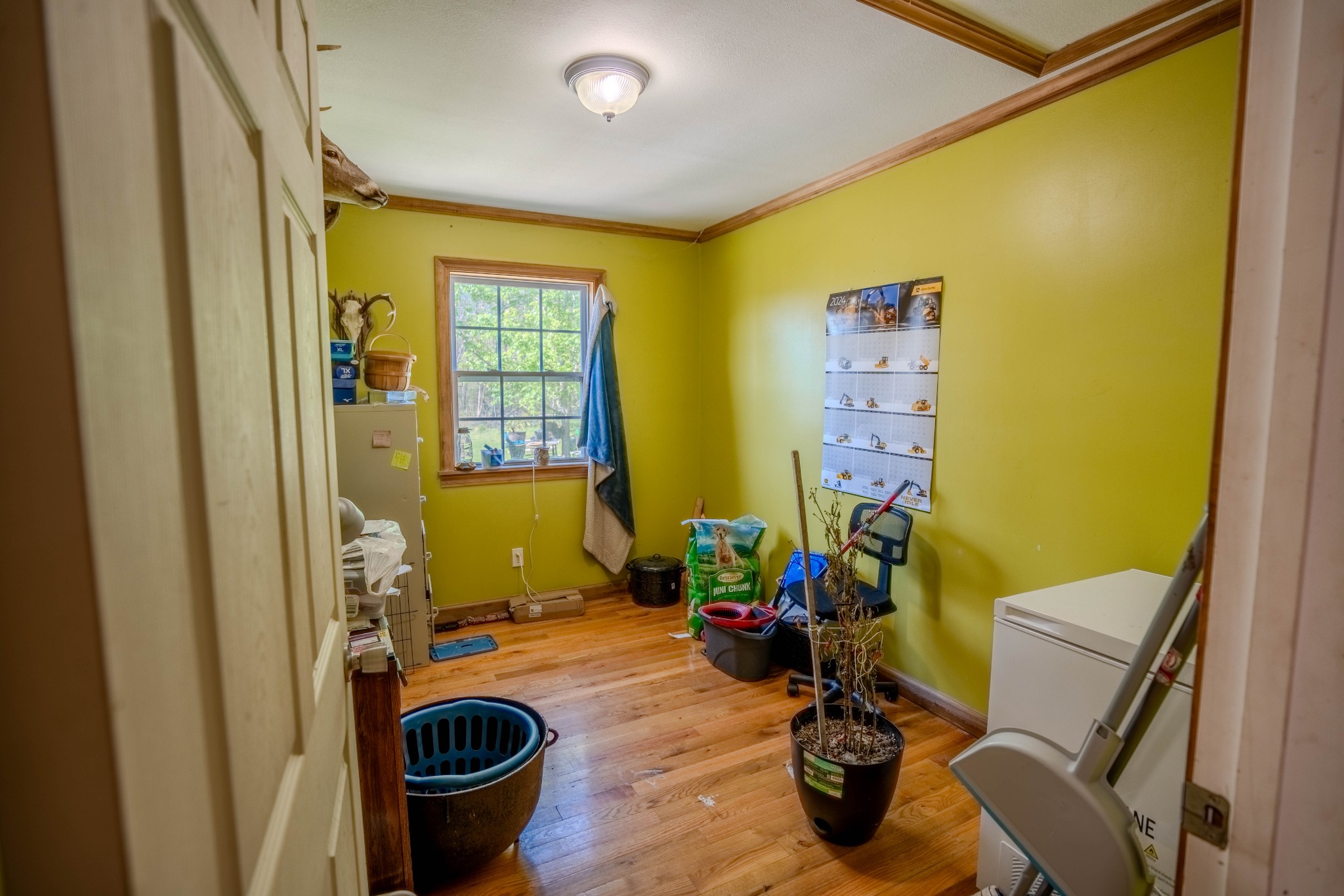290 Prokesh Road Leoma TN 38468