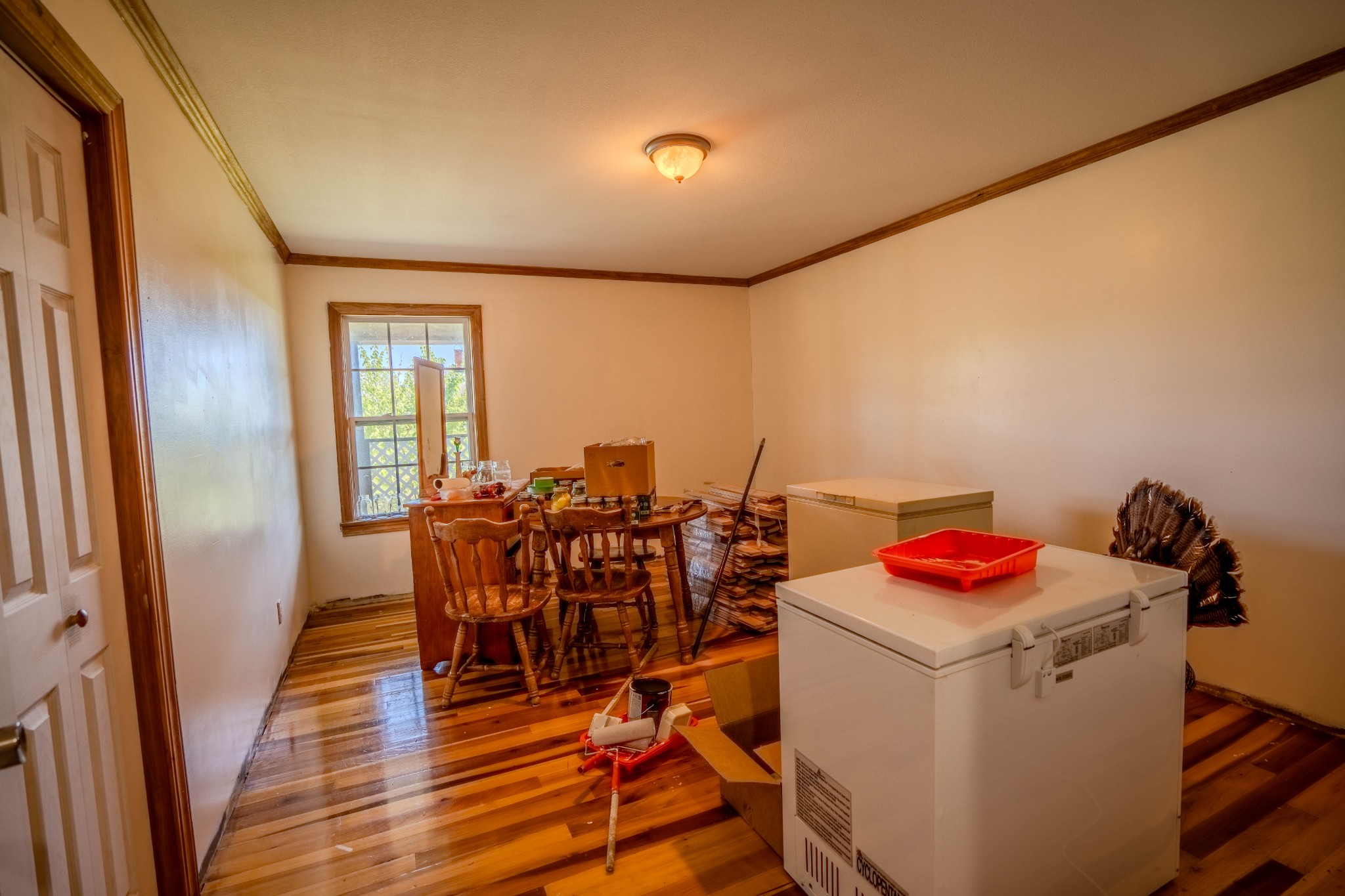 290 Prokesh Road Leoma TN 38468