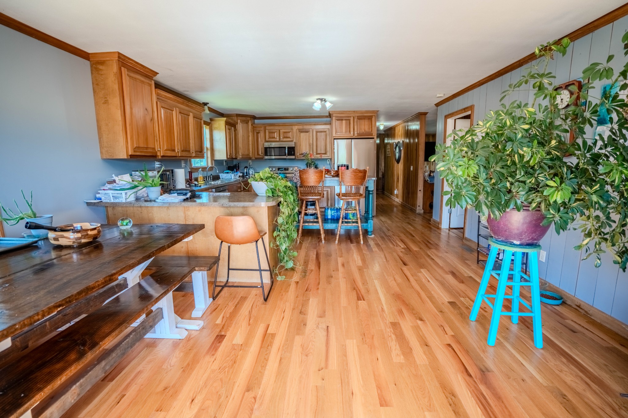 290 Prokesh Road Leoma TN 38468