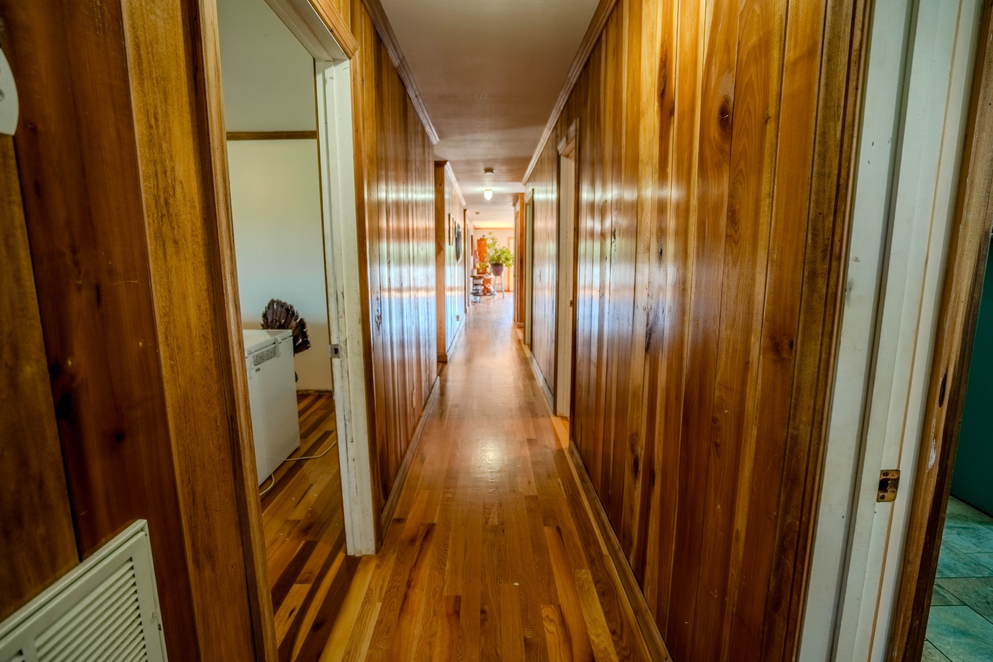 290 Prokesh Road Leoma TN 38468