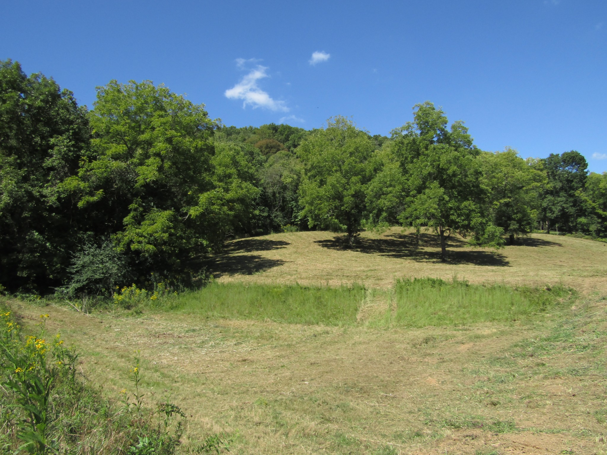 14 Ac Hartsville Road Lafayette TN 37083